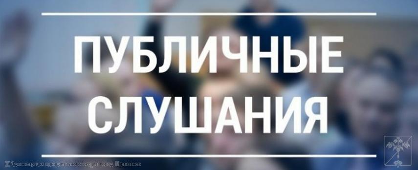 Публичные слушания по проектам профилактики муниципальных контролей на 2026 год