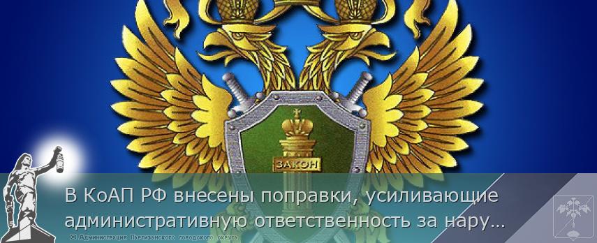 В КоАП РФ внесены поправки, усиливающие административную ответственность за нарушения в области пожарной безопасности  | Администрация муниципального округа город Партизанск Приморского края Официальный сайт