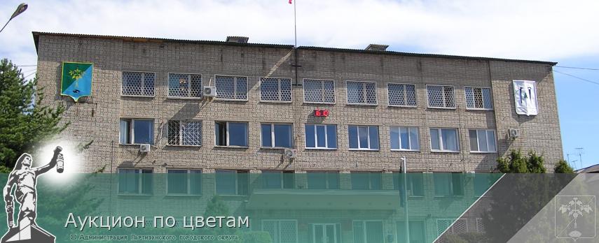 Аукцион по цветам | Администрация муниципального округа город Партизанск Приморского края Официальный сайт