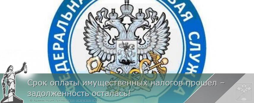 Срок оплаты имущественных налогов прошел – задолженность осталась! | Администрация муниципального округа город Партизанск Приморского края Официальный сайт